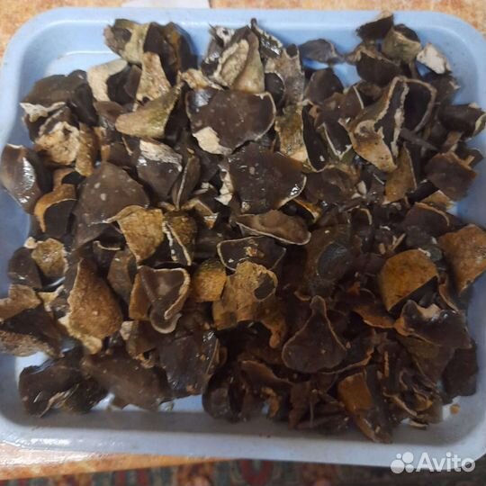 Камень кремний