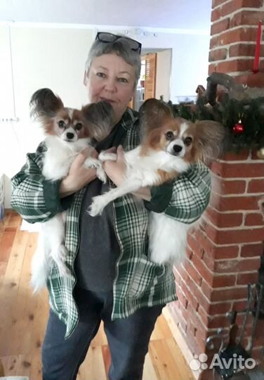 Егэ.огэ Репетитор. Математика. Информатика. Онлайн