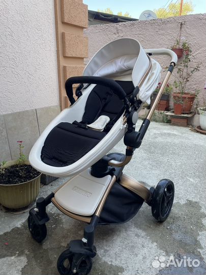 Коляска 2 в 1 Max of aulon