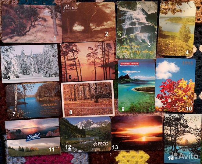 Календарики: цветы, природа, грибы