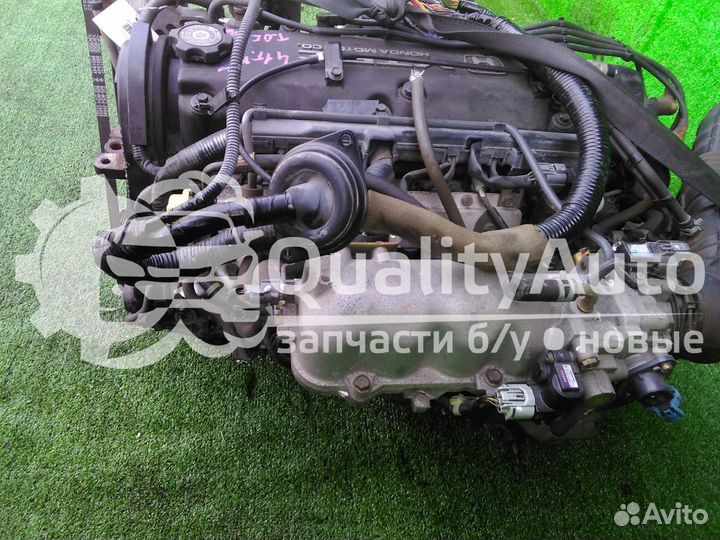 Двигатель Honda Accord 2.3 л F23A