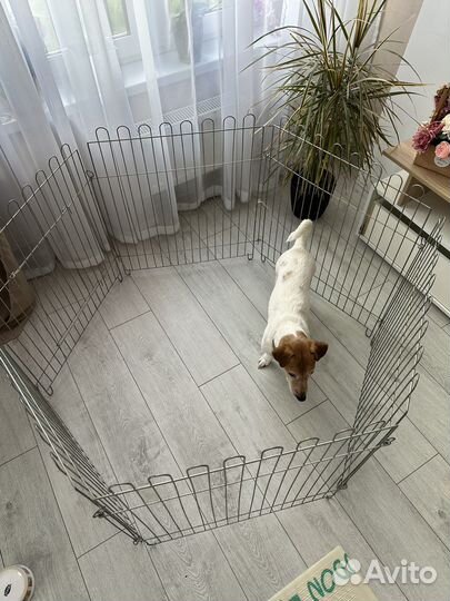 Вольер для щенков и собак