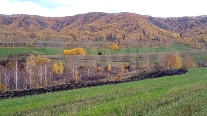 Участок 29,51 га (СНТ, ДНП)