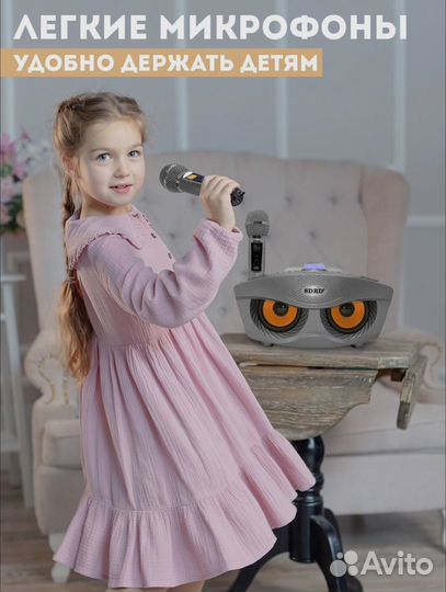 Караоке система sdrd SD-306 Plus