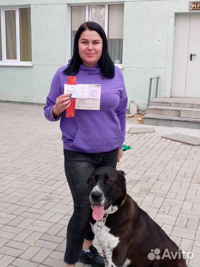 Щенки Алабая от титулованных родителей