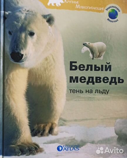 Книги пакетом