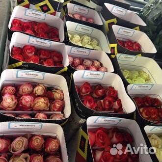 Розы оптом
