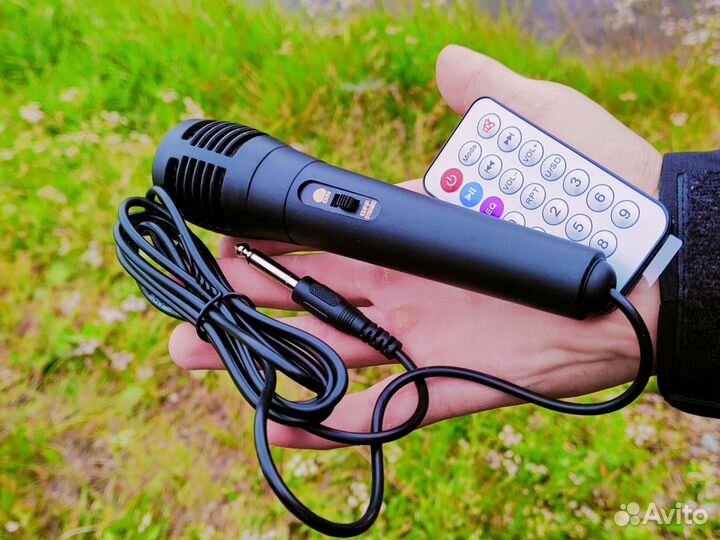 Колонка портативная 50 см