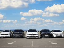 обстоятельства смерти инспектор эм. биологическая экспертиза. судебно-медицинская экспертиза краснодар. краснодар край экспертиза. 09.