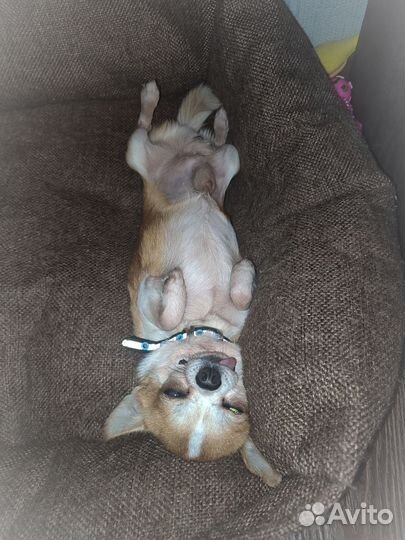 Кабель вязка