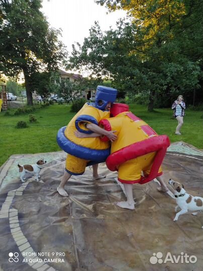 Аттракцион сумоисты