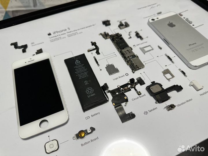 Картина из iPhone