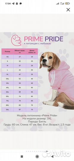 Одежда для маленьких собак XL