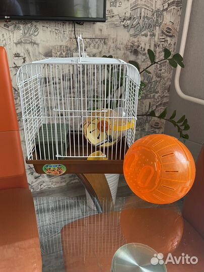 Продам клетку для хомяка с шаром