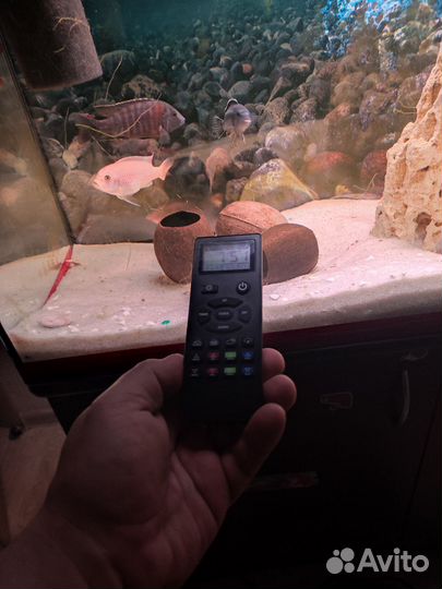 Аквариум с тумбой фильтрами и светом 240 литров