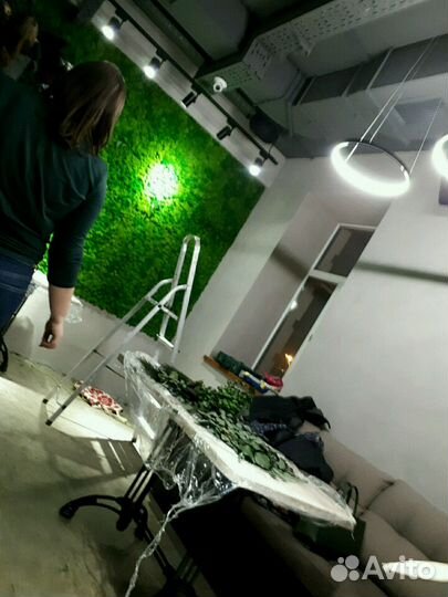 Стабилизированный мох ягель