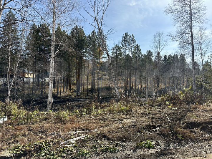 Участок 4 сот. (СНТ, ДНП)