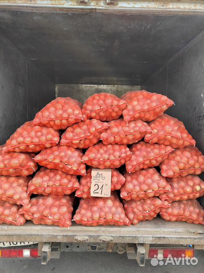 Лук, морковь, капуста