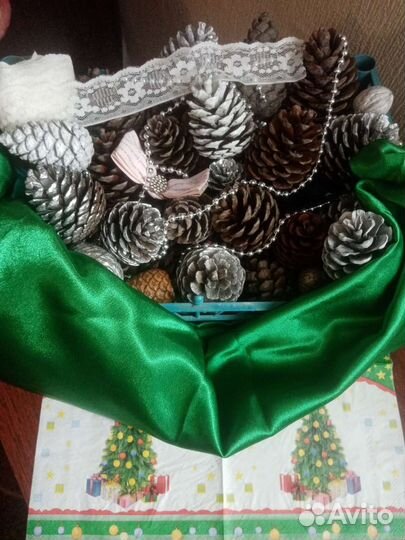 Шишки для декора и поделок