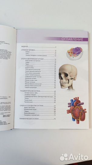Анатомия человека. Большой атлас. Билич
