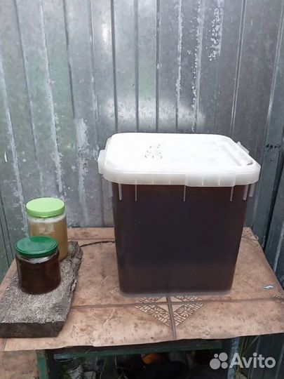 Мед гречишный оптом