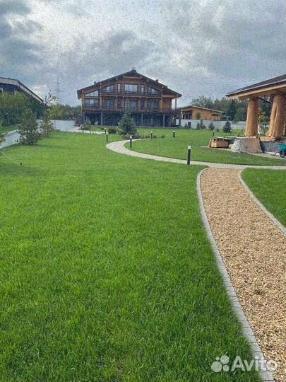 Рулонный газон, укладка, продажа