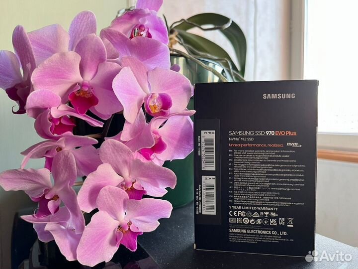 Новый SSD M.2 500 GB Samsung 970 EVO