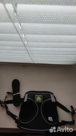 Комплект - жилет и поводок