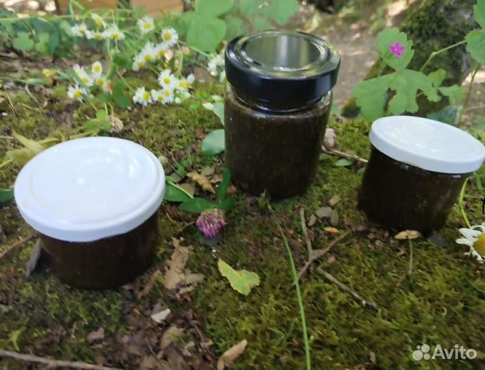 Мед противогельминтный