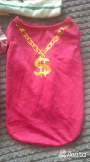 Одежда для животных