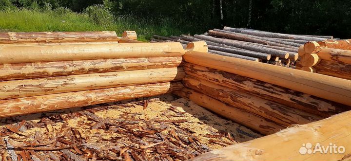 Срубы домов и бань