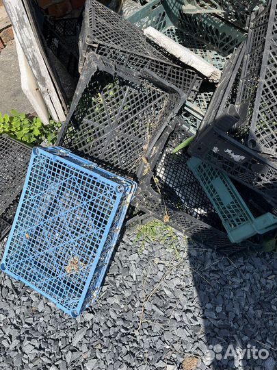 Пластиковые ящики бу