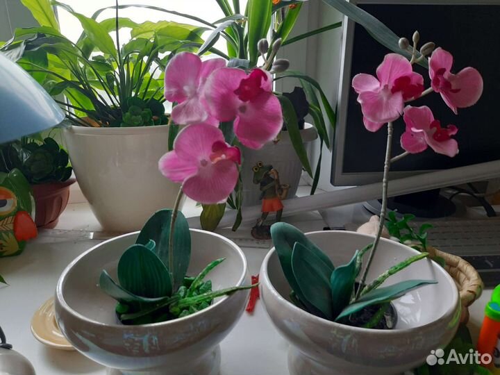 Кашпо 2 штуки керамика перламутр