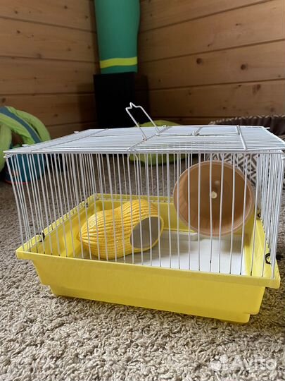 Маленькая клетка для хомяка