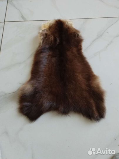 Шкурки соболя