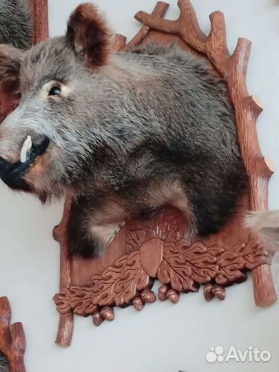 Чучело головы кабана