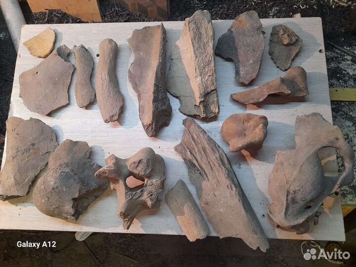 Кости мамонта