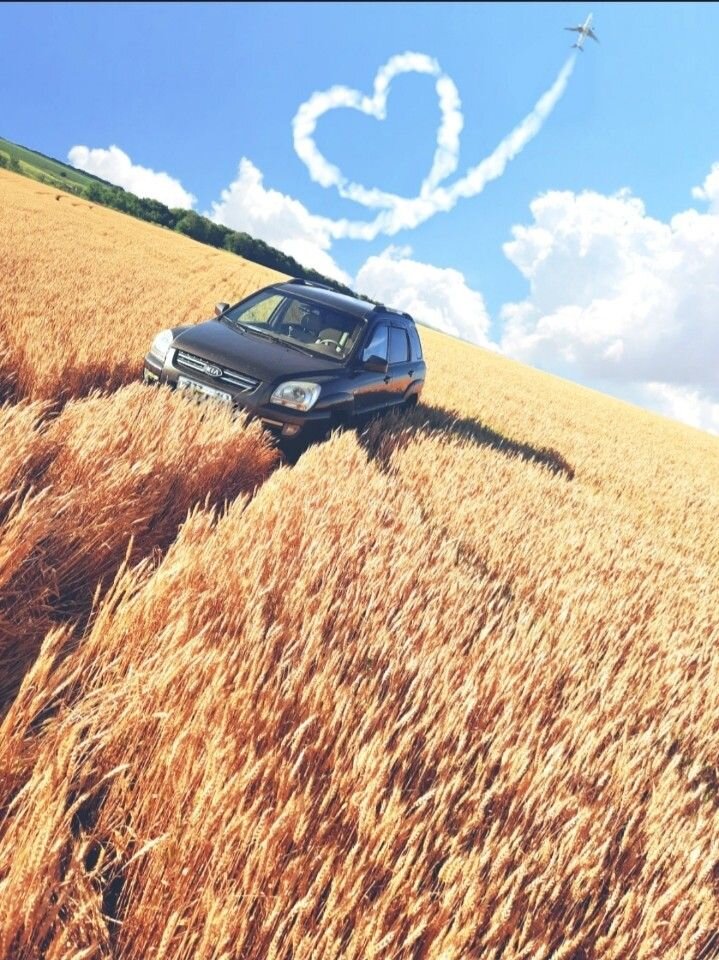 Kia Sportage: фото владельца
