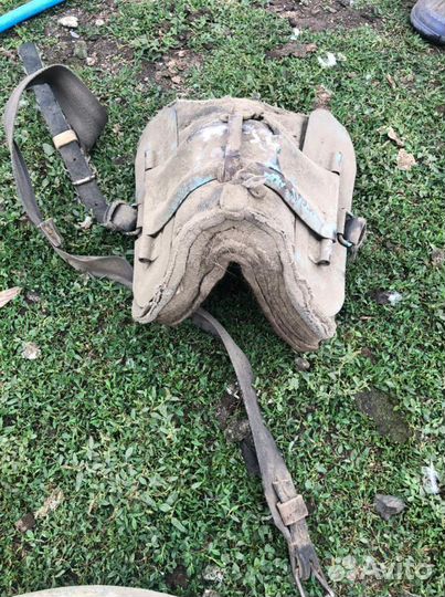 Сбруя для лошади