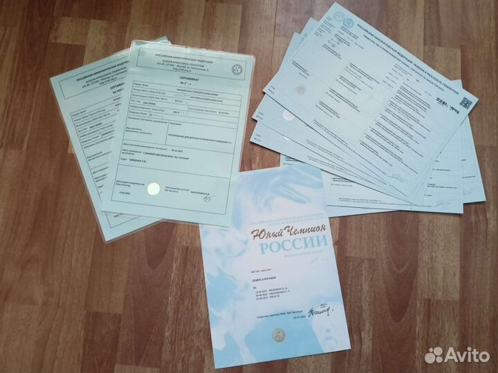 Помощь в оформлении документов РКФ