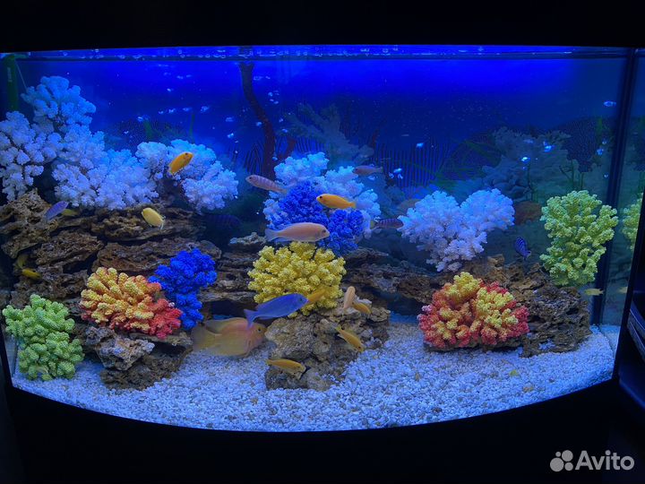 Обслуживание аквариума (чистка)