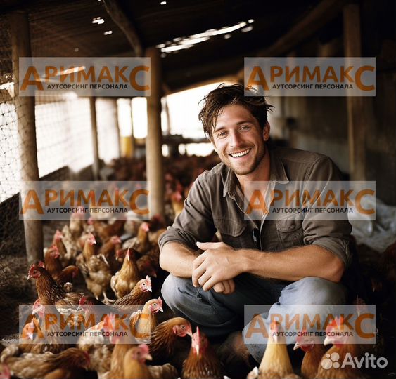 Грузчик на птицефабрику, вахта