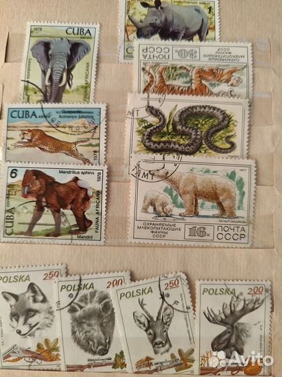 Коллекционный альбом марок