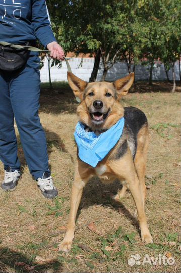 С надеждой ждёт маму