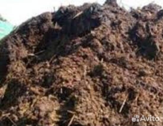 Навоз, перегной