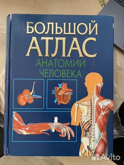 Атлас анатомии человека
