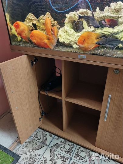 Аквариумный комплект Juwel 180л