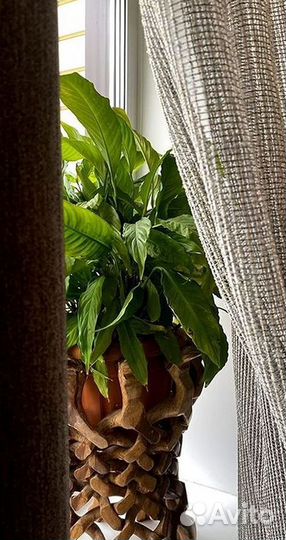 Дизайнерские шторы Пошив Доставка