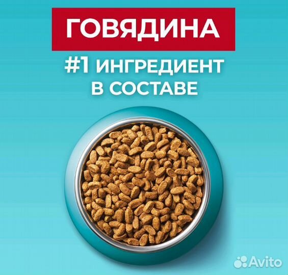 Сухой корм для кошек Purina one 3 кг