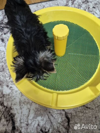 Лоток для собак со столбиком